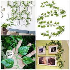 Maybe you would like to learn more about one of these? Daun Hias Harga Terbaik Taman Perlengkapan Rumah Agustus 2021 Shopee Indonesia
