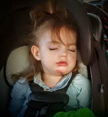 Check out the Merch from Jodi Stock !