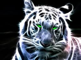 3d Animal Wallpapers Top Free 3d Animal Backgrounds Wallpaperaccess