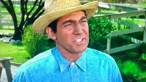 The Andy Griffith Show season 6 The Battle of Mayberry Reviews