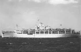 Image result for Bianco 1995 Fleet