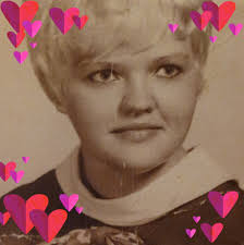 Leaf cleanup ideas for .5 acre yard in North Windham