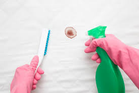 Fill a bowl with one cup of cold water. How To Remove Blood Stains From Fabric Couch Denver Pros Cleaning Services