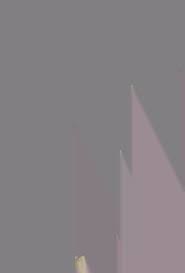 Image result for Anthospermum whyteanum