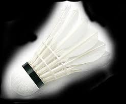 A sport at your speed Badminton Center Morsenbroich Dusseldorf Badmintoncourts