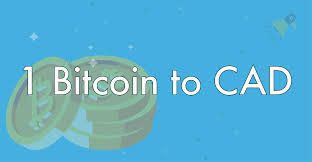 One of the things people stress with the most is keeping their crypto portfolio safe which is why we advise people on the other hand, bitcoin exchanges such as bitbuy, the most popular canadian crypto exchange, let. Everything You Need To Know About Buying Bitcoin Paybis Blog
