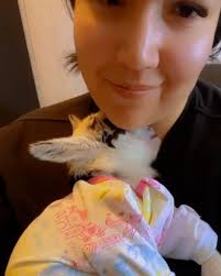 I put my Nigerian dwarf goats in onesies 🐐