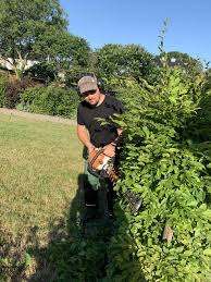Tipps und infos von hornbach: Habinghorst Garten Und Landschaftsbau Thuir Packt An Hilfe Im Seniorengarten Castrop Rauxel