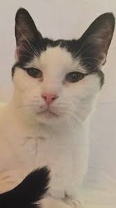 In honor of Archimedes, this is the Eurekatini 🍸