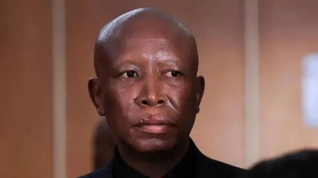 Julius Malema sentenced to five years in prison for illegal possession of firearm - BBC News Pidgin