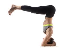 Preparation for handstand & headstand. Dolphin To Headstand Transition Learning The King Of Poses Track Yoga