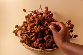 Image result for Dialium