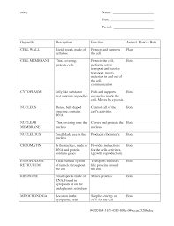 6 Best Images Of Animal Cell Organelles Functions Chart Cell