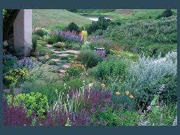 Love Lauren Springer S Work Here Is Her Second Garden On 100 Acres Flush With Artmesia Salvia Poppie Xeriscape Water Wise Landscaping Hillside Landscaping