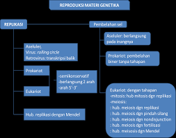 Rekayasa genetika pada ikan (transgenik) rekayasa genetika adalah suatu usaha memanipulasi sifat genetik suatu makhluk hidup untuk menghasilkan makhluk hidup yang memiliki sifat yang diinginkan. Https Repository Ung Ac Id Get Karyailmiah 1740 Buku Genetika Belajar Genetika Dengan Mudah Dan Komprehensif Pdf