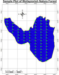 Image result for Scepocarpus hypselodendron