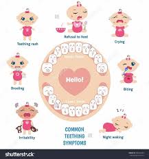The Best Baby Teeth Chart Printable Garza S Blog