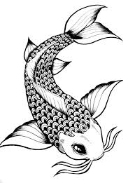 Think about how they move in the water and draw a line based on that. Outline Easy Drawing Fish Novocom Top