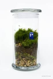 Doctor Who Inspired Terrarium Moss Terrarium Moss Terrarium