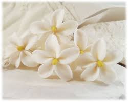 Back inside, place near a south window when growing jasmine indoors. White Jasmine Flower Hair Pins Jasmine Hair Accessories Etsy