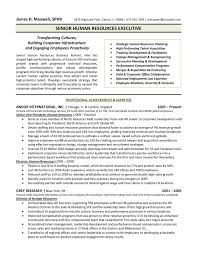 Every hr manager resume sample should be different (remember: Human Resources Executive Resume Sample Free Download