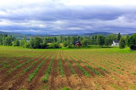 images?q=tbn:ANd9GcQdOVM7Hwhkl0cQZionNA6