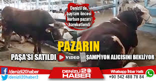 Denizli De Bayram Oncesi Kurban Pazari Hareketlendi
