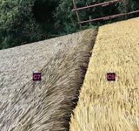 Artificial Thatch Roof | Synthetic Thatch Palm
