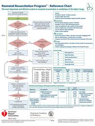 19 High Quality Nrp Guidelines 7th Edition