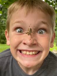 Firefly-like insects in Grand Rapids, Michigan