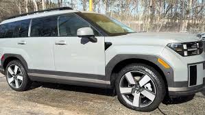 Image result for Hampton Gray 2024 Santa Cruz