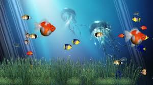 Gambar wallpaper bergerak hq definition. Free Aquarium Bergerak Wallpaper Aquarium Bergerak Wallpaper Download Wallpaperuse 1