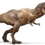 Tumbuhan pemakan serangga ini hidup dan tumbuh dengan nutrisi dari serangga. 7 Dinosaurus Herbivora Paling Dikenal My Simple Tricks
