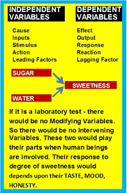 We did not find results for: Hypothesis Development In Business Research Hubpages