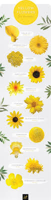 We did not find results for: Summer As A Representation Flowers Meaning Symbolism Facebook