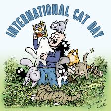 I fell in love with leo. Simon S Cat Cuddle All The Cats Happy Internationalcatday