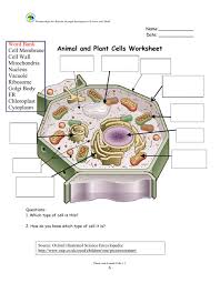 Download and print worksheets for teaching students about animal and plant cells. Animal Cell