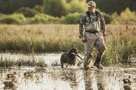 We did not find results for: Essential Duck Hunting Gear 10 Things You Need For A Successful Duck Hunt Decoypro