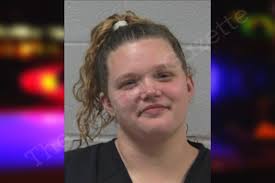 Heather Rudy — Gilmer County Jail Bookings
