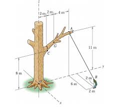 With the right knowledge and equipment, you can prune your. Solved The Tree Branch Cga Is Partially Cut At Point C T Chegg Com