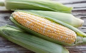 Corn