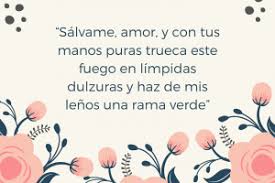 Como recuperar a tu ex. 90 Frases Para Volver Con Tu Ex Dedicalas En 2019