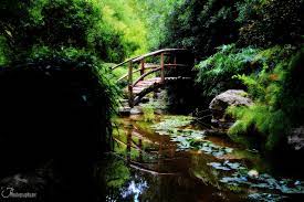 Isamu Taniguchi Japanese Garden Austin Texas Improvephotography Com Community Visiting Austin Texas Texas Travel Garden