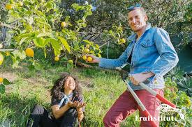 We've successfully cultivated fruit trees in granada hills for decades. To Glean Or Not To Glean Why You Shouldn T Let Bad Fruit Hang Around Food Forward