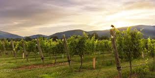 We did not find results for: Top Upstate New York Summer Activities