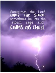  He Calms His Child Inspirational Quotes Neon Signs Calm