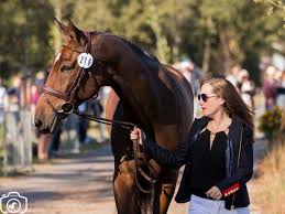 Collett on london 52 took. Laura Collett Leads Chatsworth Horse Trials After Dressage Equnews International