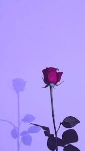 Premium selection of designer fabrics & wallpapers. Pictures In 2021 Purple Aesthetic Dark Purple Aesthetic Purple Wallpaper