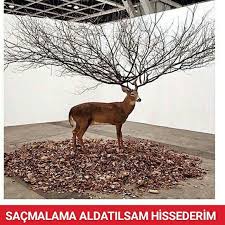 Hayat Sevince Paylasinca Guzel Sosyalokuz Okuz Komik Cokkomik Resim Resimler Caps Eglence Eglenceli Mizah Komik Komik Alintilar Komik Seyler