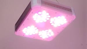 Check spelling or type a new query. Ledtonic Z5 Full Spectrum Indoor Led Grow Light Youtube